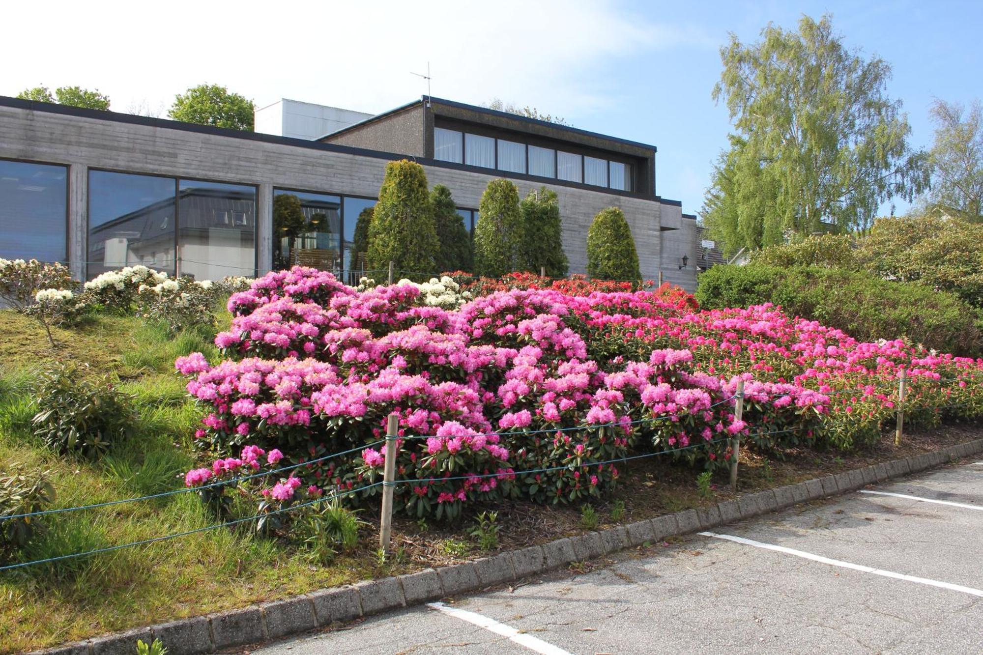 Solborg Folkehogskole Hostel Stavanger Exterior photo